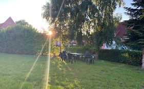 Eschen'S Blick